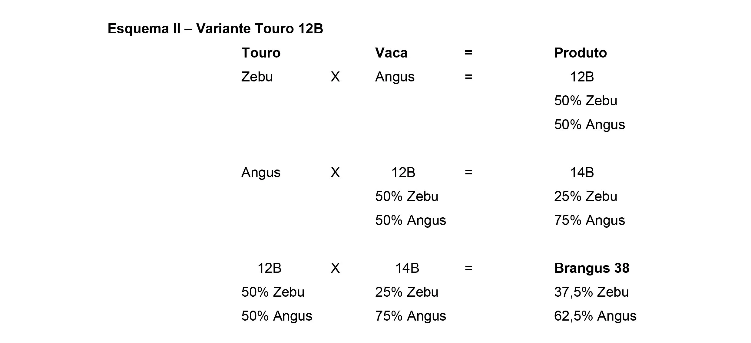 Métodos+de+cruzamentos-2 Raça Brangus