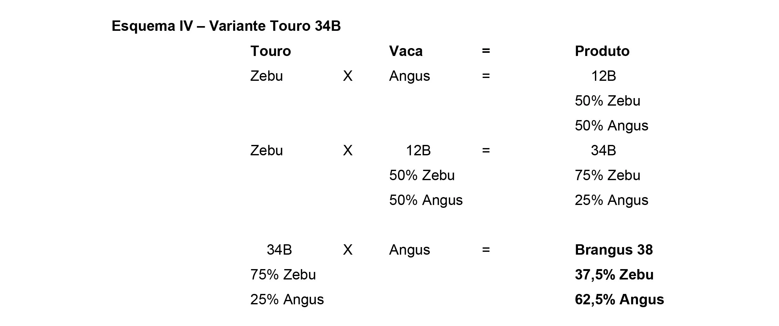 Métodos+de+cruzamentos-4 Raça Brangus