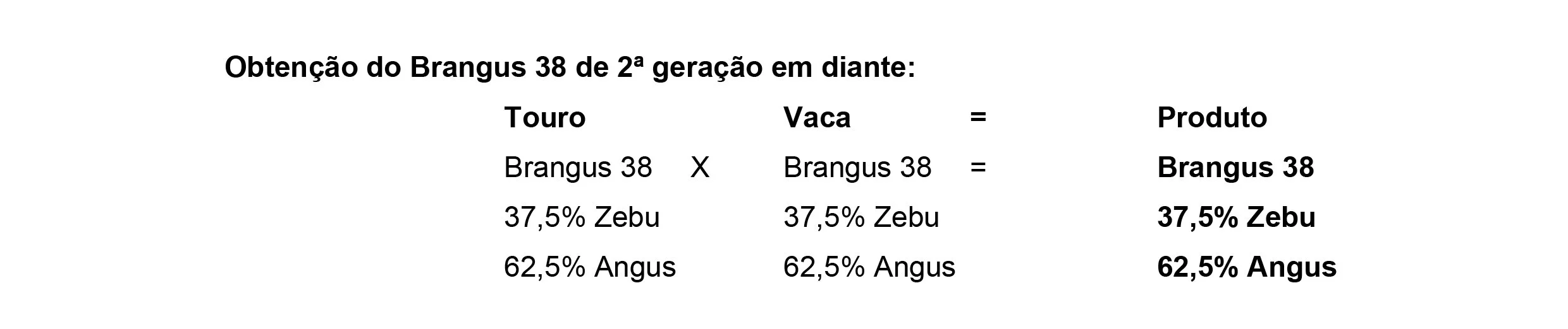 Métodos+de+cruzamentos-5 Raça Brangus