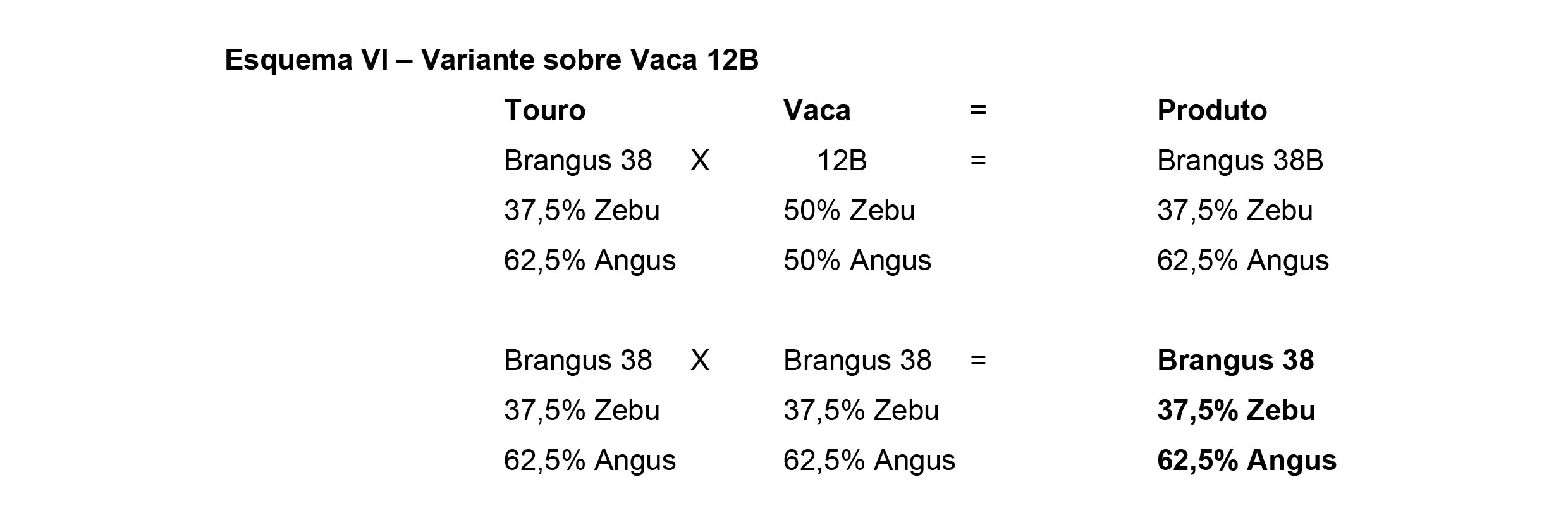 Métodos+de+cruzamentos-7 Raça Brangus